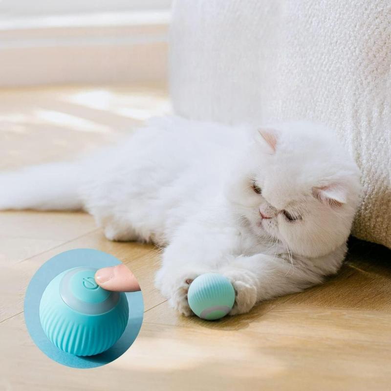 MeowOrbit - Smart Play, Everyday